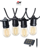 S14 Edison bulbs on the solar string light cable