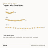 Run length diagram: 2m, 5m and 10m lengths, LEDs 10cm apart