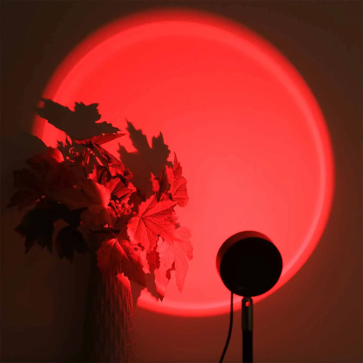 Sunset Projection Light 2